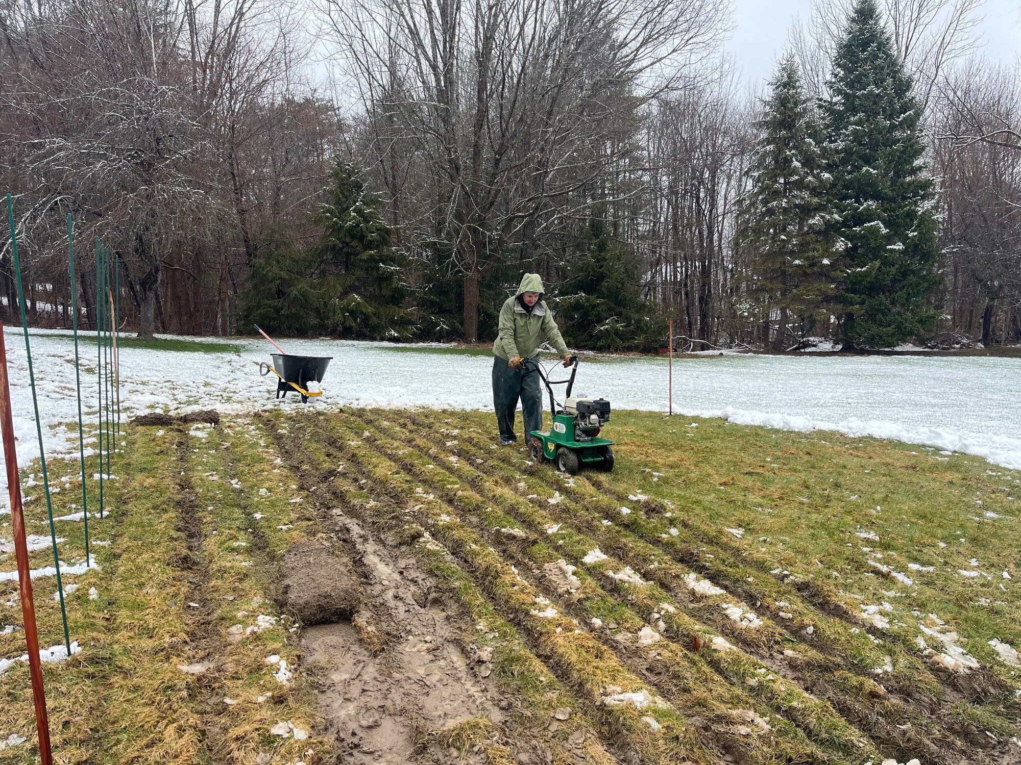 The field is planted and growing!